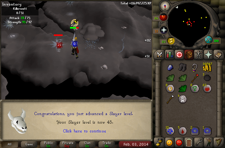 SlayerLevel45_zps70071219.png