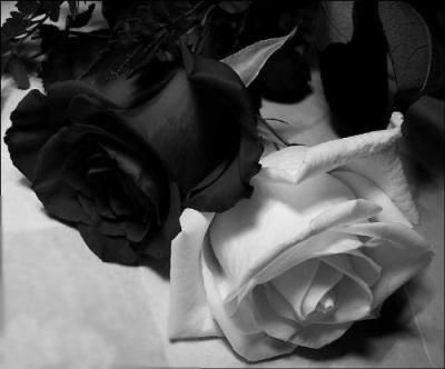  photo flornegrayblanca_zpsc5149e52.jpg