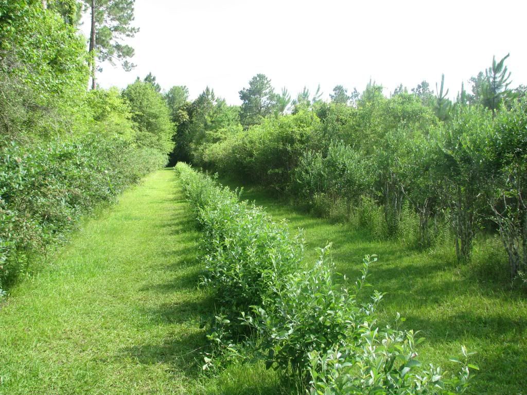 [IMG_0783_zps98a6d5db]