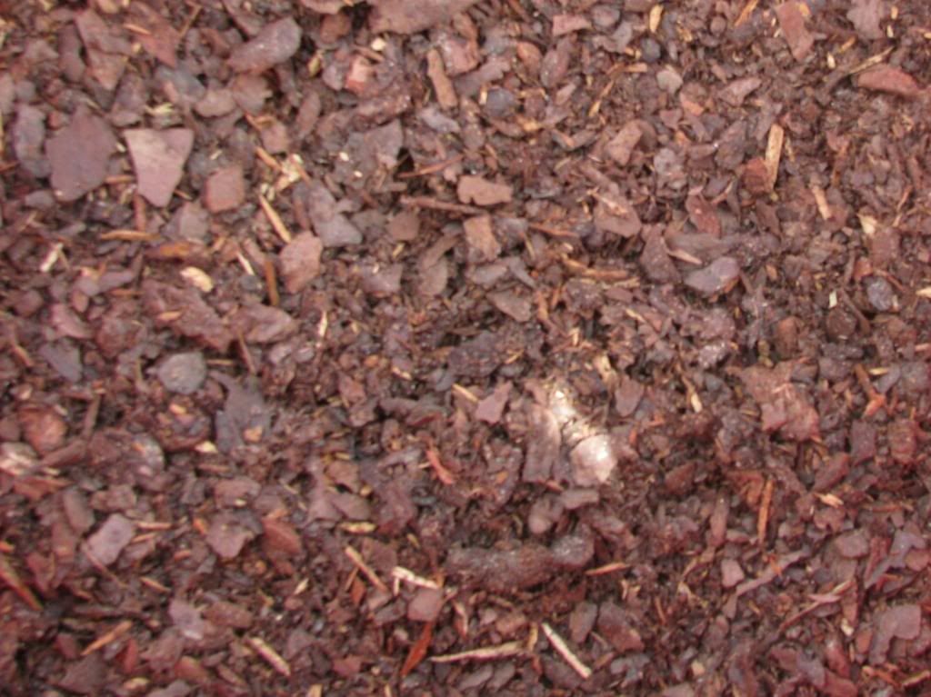 [IMG_0805_zps2675cb46]