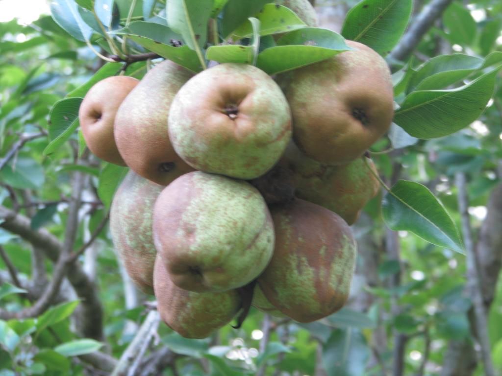 [IMG_0967_zpsf4d30a16]