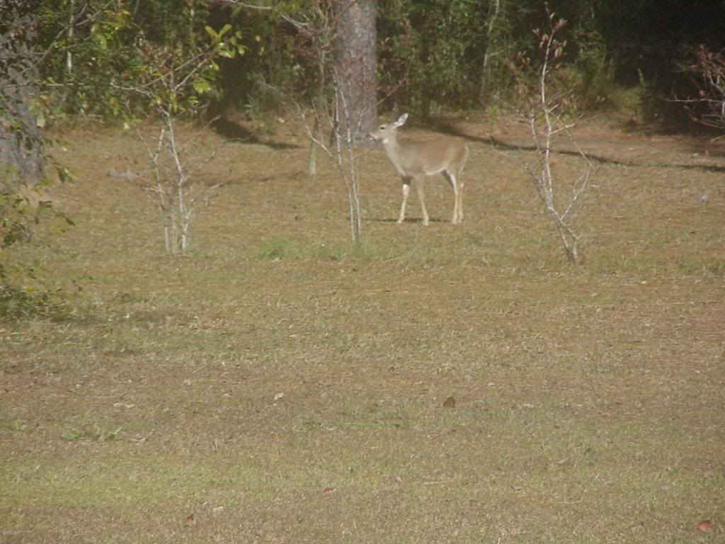 [MVC-001F_zps5e5a0ef4]