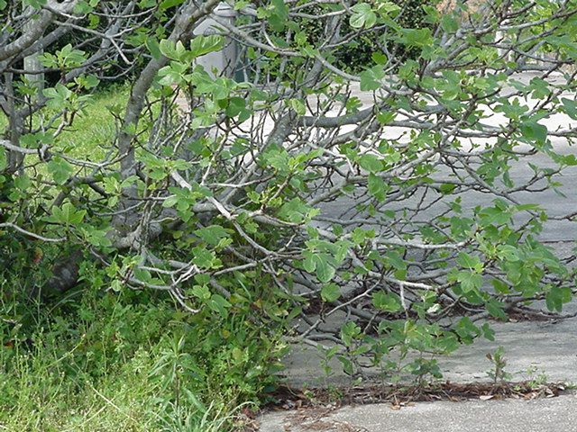 [MVC-010F_zps19379ef3]