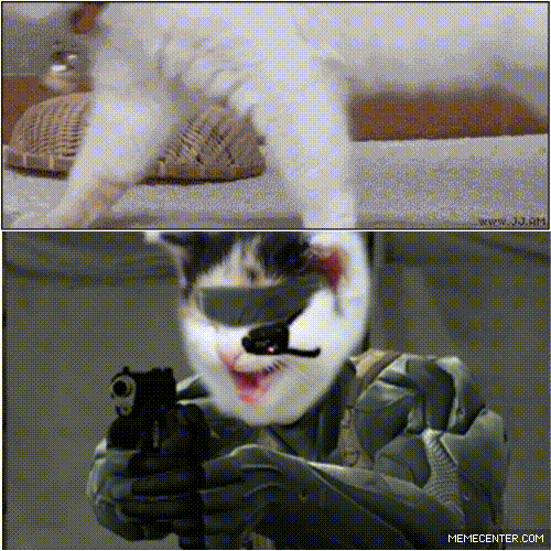 metal_gear_solid_purrs_of_the_patriots_o_3411591_zpsb9071f8a.gif