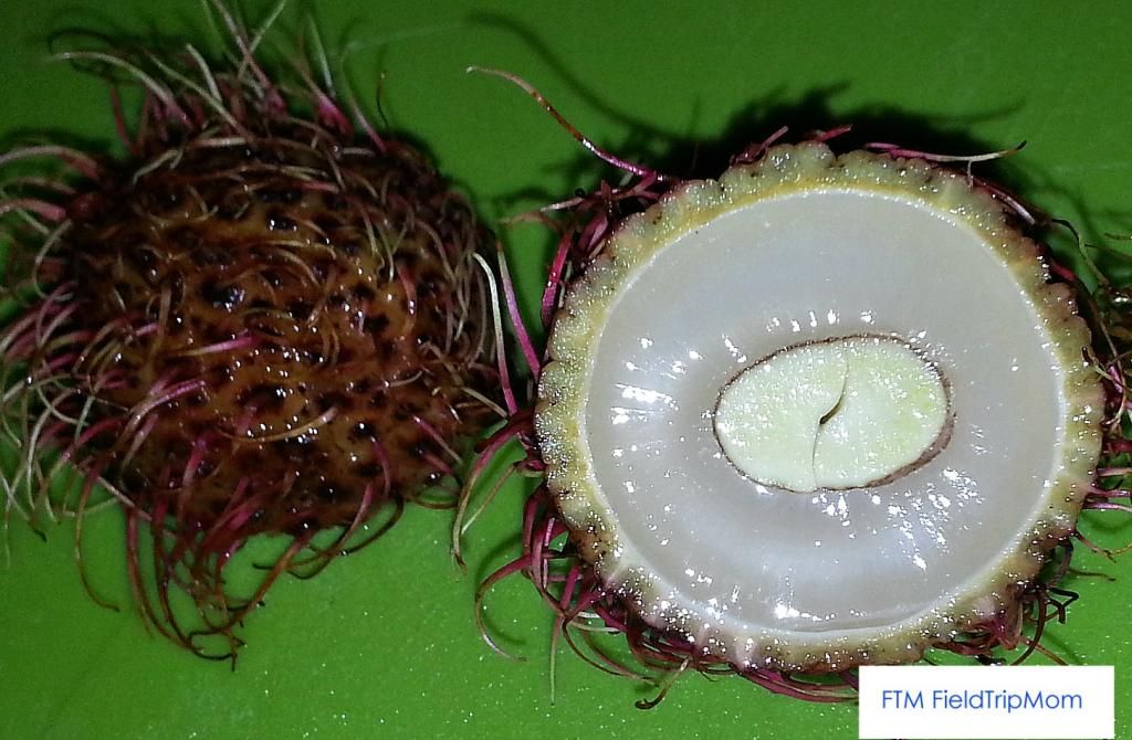 rambutan fruit photo ramadanfruit2_zps8f36a081.jpg