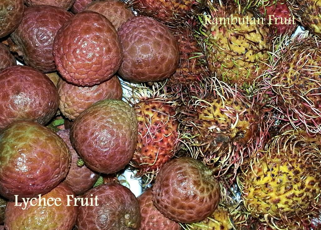 photo vietnamesefruitlychee3_zpsee40cd5d.jpg