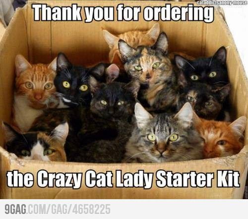 catlady_zps72222d0c.jpeg