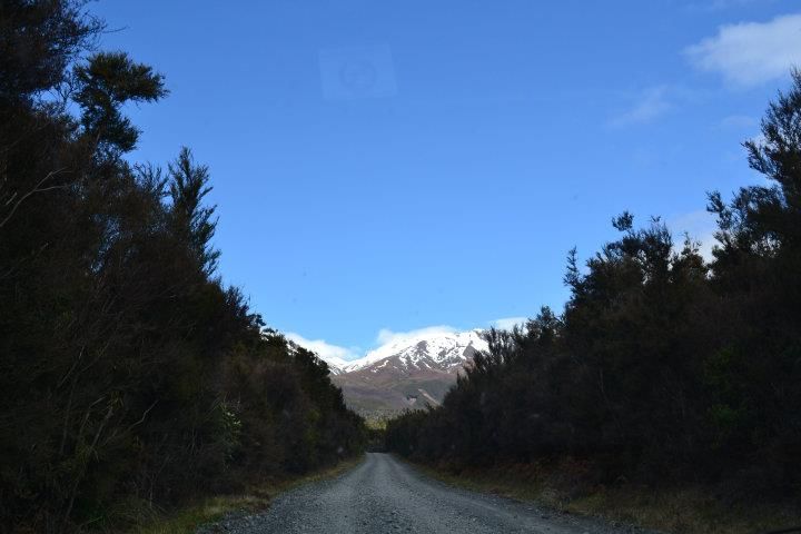 NUEVA ZELANDA Y FIDJI DURANTE 25 DIAS UN VIAJE MARAVILLOSO - Blogs de Nueva Zelanda - Abel tasman, y rumbo a la isla norte, ferry y a tongario national park -taupo (7)