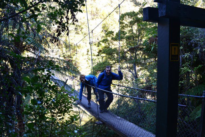 NUEVA ZELANDA Y FIDJI DURANTE 25 DIAS UN VIAJE MARAVILLOSO - Blogs de Nueva Zelanda - Abel tasman, y rumbo a la isla norte, ferry y a tongario national park -taupo (1)