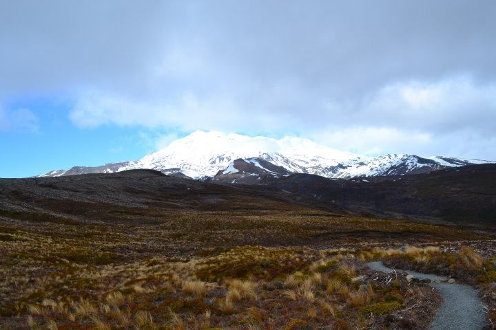 NUEVA ZELANDA Y FIDJI DURANTE 25 DIAS UN VIAJE MARAVILLOSO - Blogs de Nueva Zelanda - Abel tasman, y rumbo a la isla norte, ferry y a tongario national park -taupo (8)