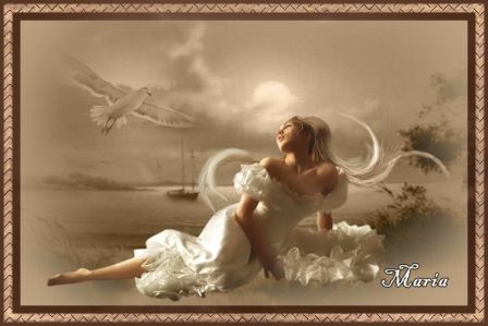 aan het strand photo aanhetstrand_zps17235f1c.jpg