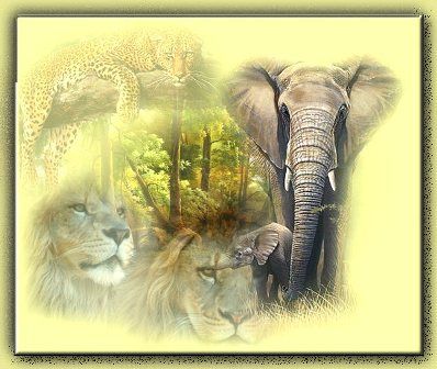 photo wildnature_zps5e9f9a8b.jpg