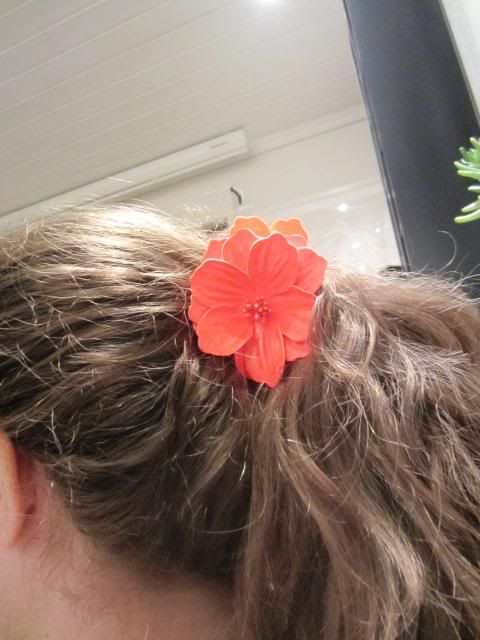 photo IMG_6067_zpsdcf32b96.jpg