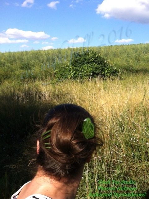 Bild