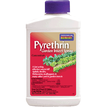 pyrethrin-bonide-garden-insect-spray-857_zps7c192a7a.gif