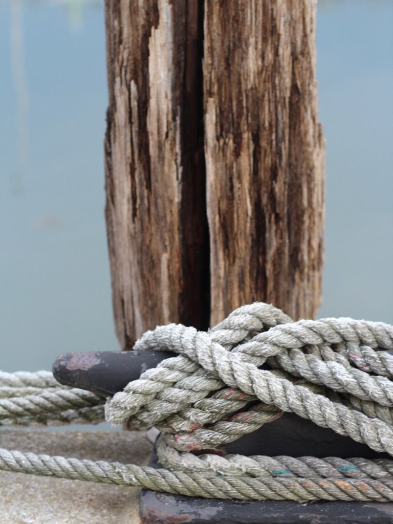 a maritime rope wrapped around a horn cleat, with a decaying piling behind it