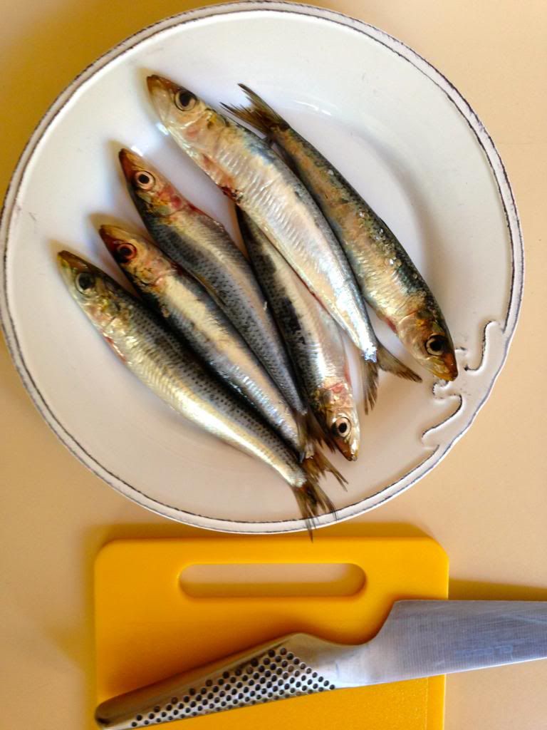 sardines