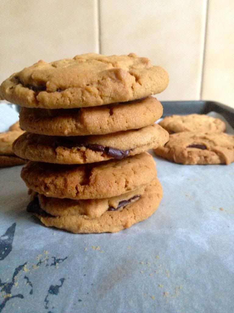 Peanut butter chocolate chip cookies