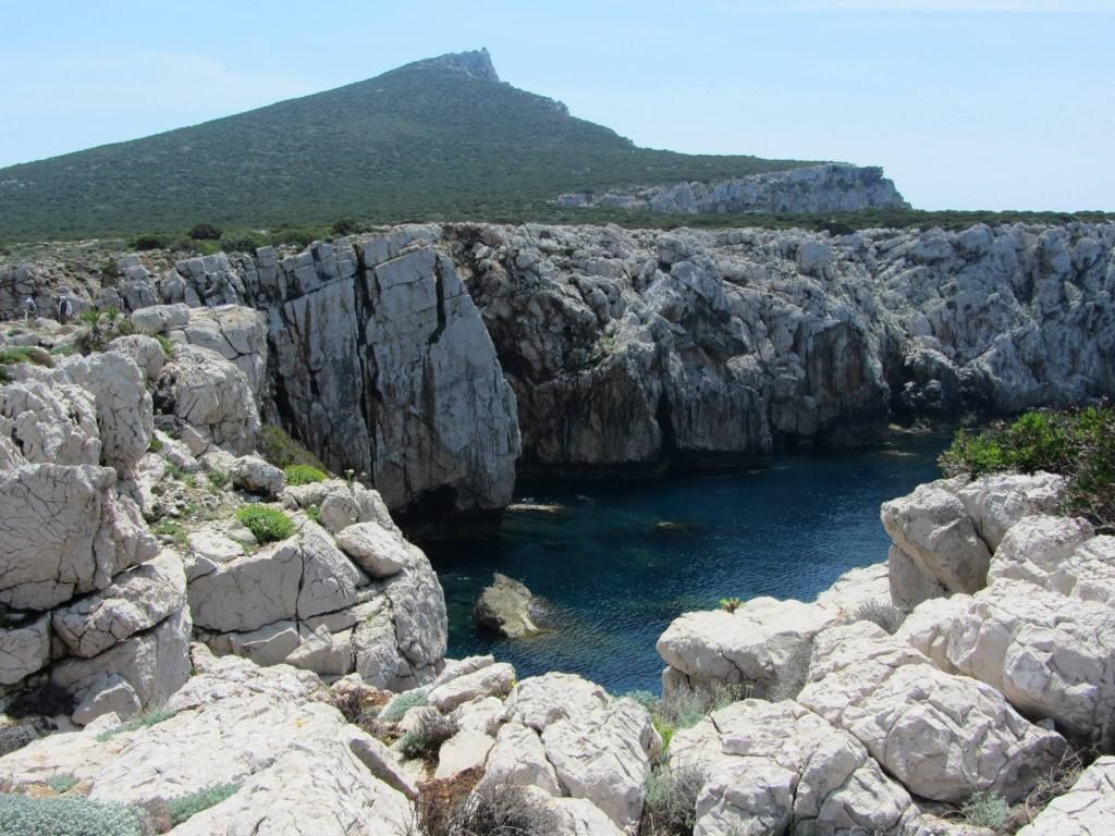 It's the best kept secret in Sardinia!!   (ssshh, let's keep it this way!!) photo 1277517_1416928795185782_1090907484_o.jpg