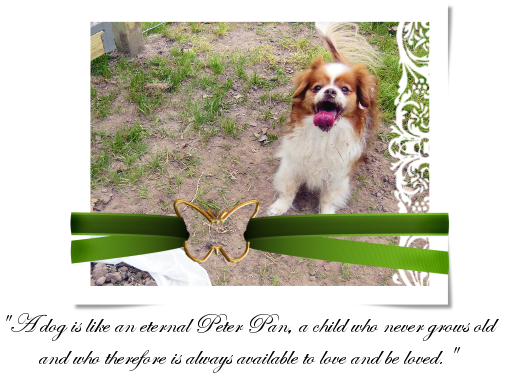 photo 1_eternalpeterpan_zpse062cdb5.png