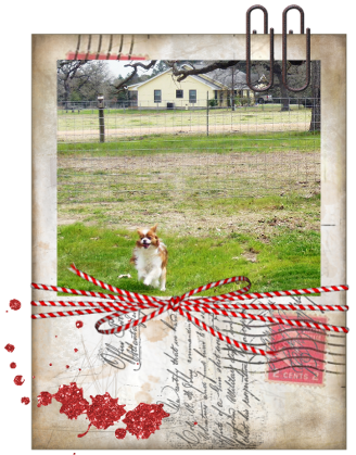 photo 3_happyrun_zps8db9e2b6.png