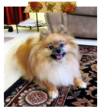 photo isabellesmile_zps0bc0641c.png