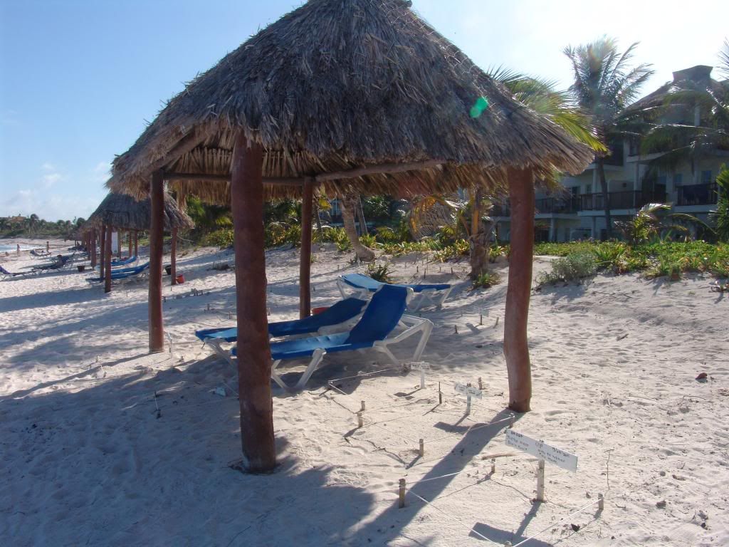 Palapa sorrounded by turtle nests