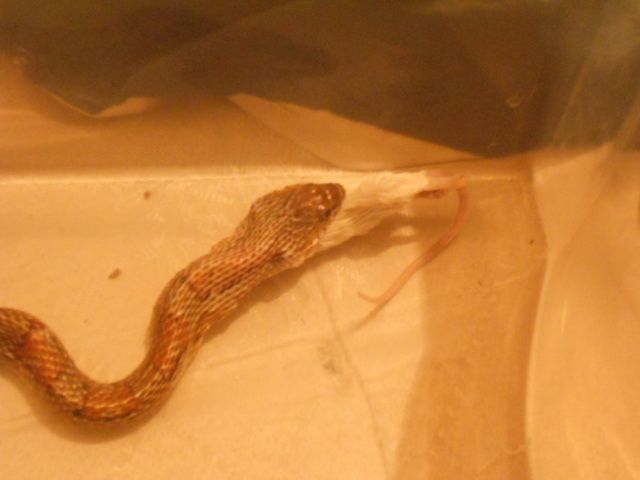 DSCN0563_zpsb27840d6.jpg