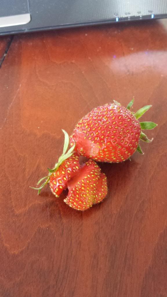 20140506_170424_zpsa4623424.jpg