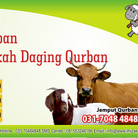 Hewan Qurban Pictures Images Photos Photobucket